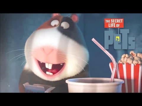 Norman's TV - Film Clip