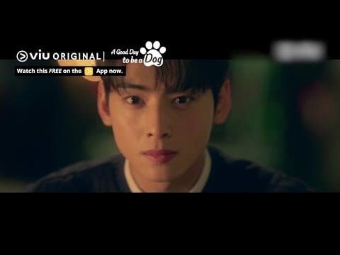 Will Cha Eun Woo Kiss the Dog Version of Park Gyu Young? 🐶 | Viu Original, A Good Day to be a Dog