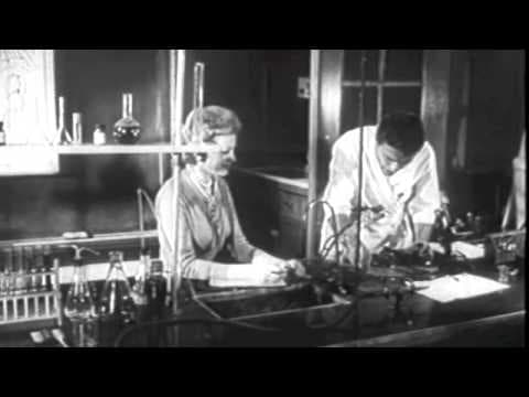 The Brain Eaters - Trailer