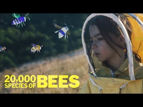 US Trailer [Subtitled]