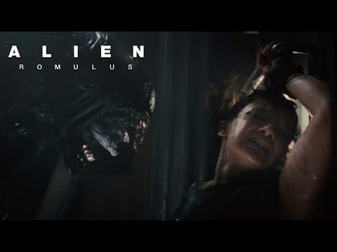 Streaming November 21 Only On Hulu