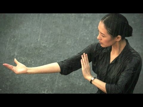 THE GRANDMASTER | Zhang Ziyi