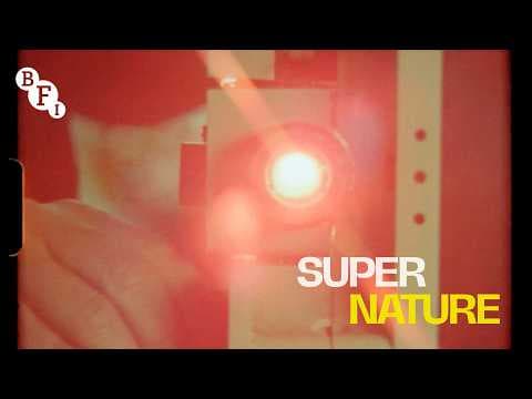Ed Sayers on film formats from 70mm to Super 8