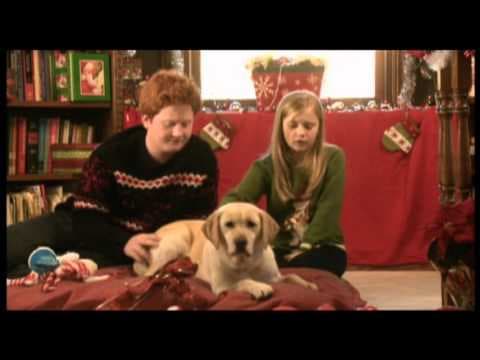 The Dog Who Saved Christmas Trailer