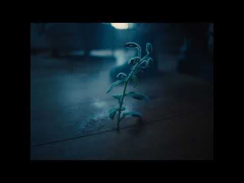 Water Rises (2023) | Teaser