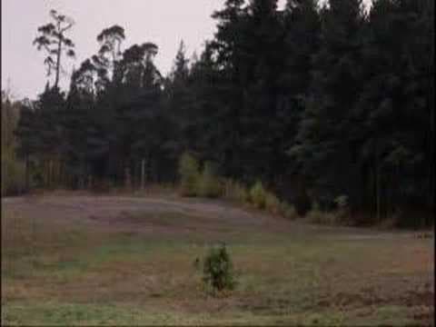 Now for something completely different