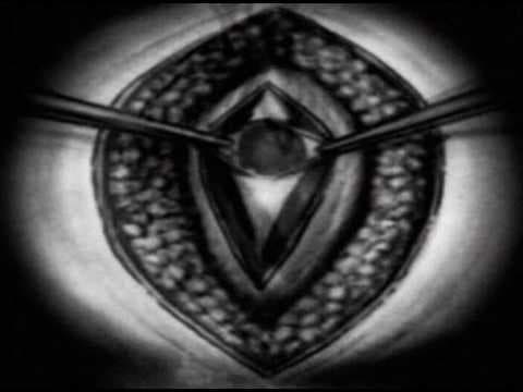 Philosophy Of A Knife (2008) Trailer