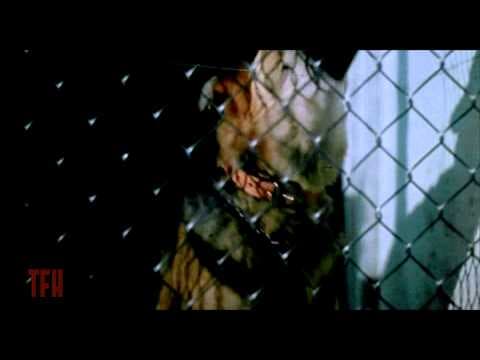 David DeCoteau on HUMONGOUS