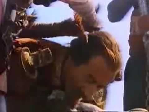 The Adventures of the Baron of Munchausen