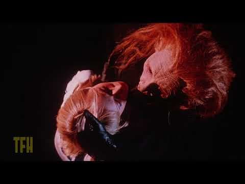 David DeCoteau on CURTAINS