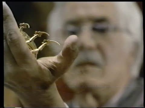 Original Trailer (VHS Capture)