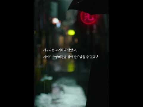 [Bi-Gwang] Launch Trailer