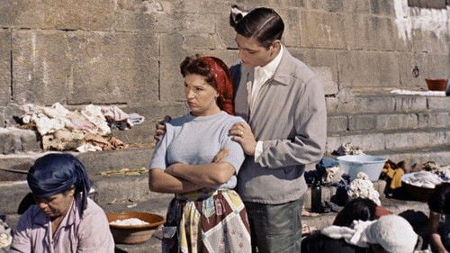 The Little Bird of Ribeira