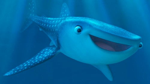 Marine Life Interviews