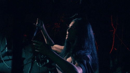 The Whip and the Body