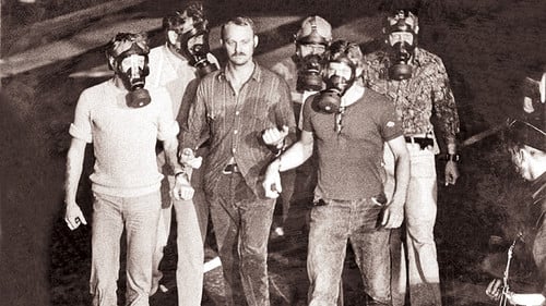 Norrmalmstorgsdramat inifrån