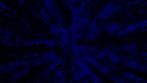 New York City Opera: A Little Night Music