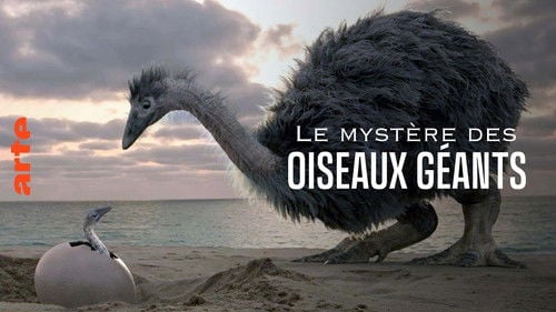 Mystery of the Giant Birds