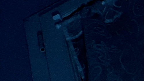 Beware of watch dog !