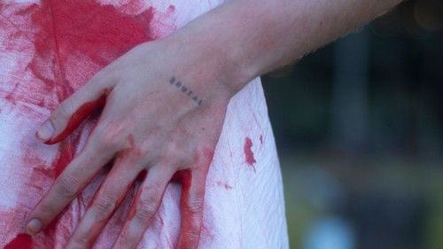 Pequenos Vermes Escarlates