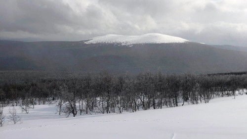 The Dyatlov Pass Incident