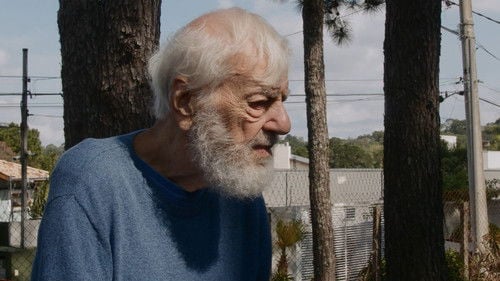 Vlavianos: Impulse and Reason