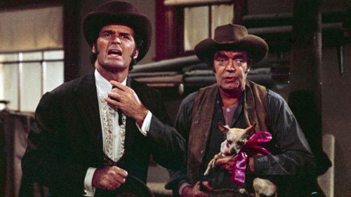 Support Your Local Gunfighter