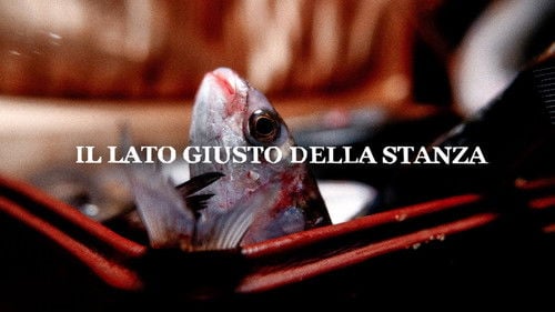 il Lato Giusto della Stanza