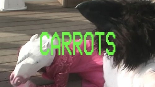 CARROTS