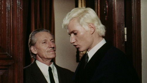 The Horrible Sexy Vampire