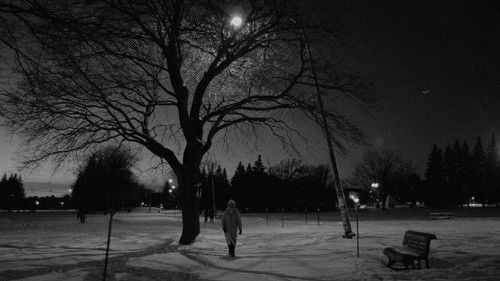 Snowflakes at the End of the World