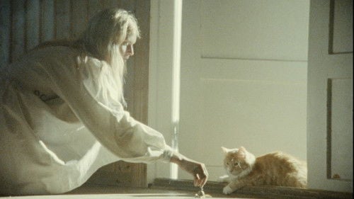 Keskiyön auringosta ikuisuuteen