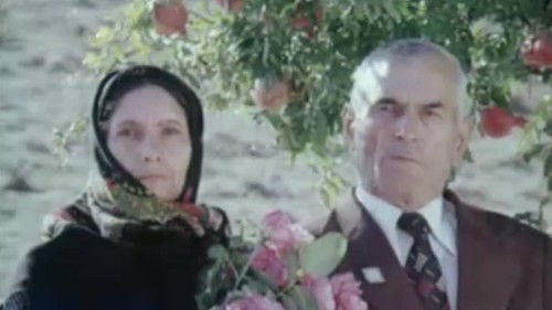 Vocation is a Teacher