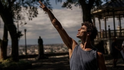 A Wolf Among the Swans