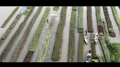 Elements of(f) Balance