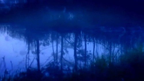 Os Melhores Anos de Nossas Vidas