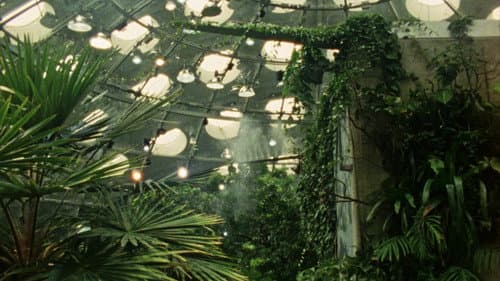 Tropical Fractals
