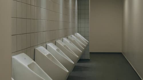 The Bathroom Visit