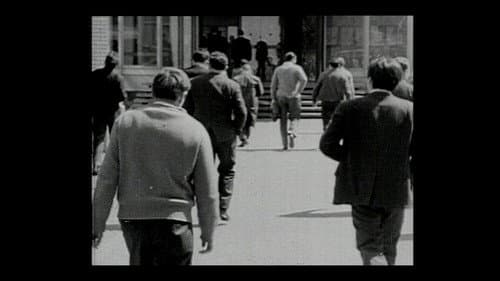 L’uomo a cui hanno rubato il cuore