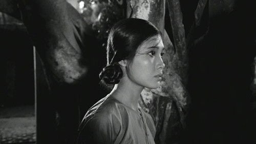 When the Tenth Month Comes