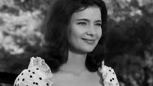 Snow White and the 7 Old Boys