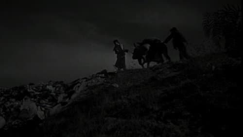The Young and the Damned