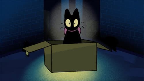 Strays