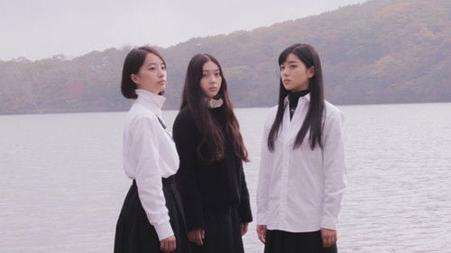 White Flowers and Fruits