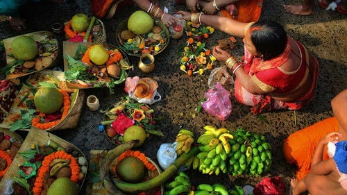 Vegetarians, The Great Odyssey