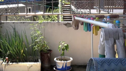 Who Does the Chores?