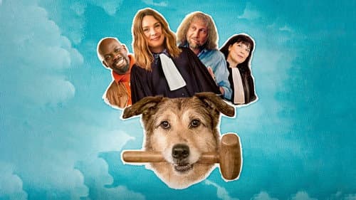 Dog on Trial