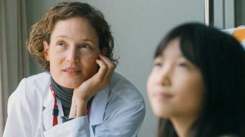 Yakushima's Illusion