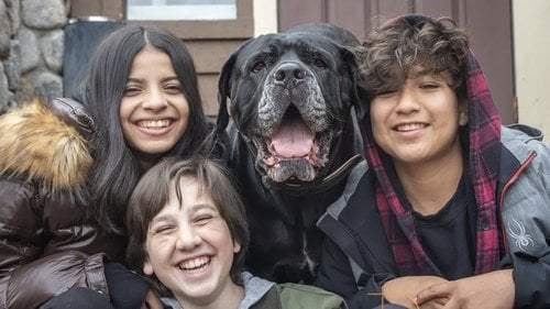 Dog Patrol: Operation Santa Paws