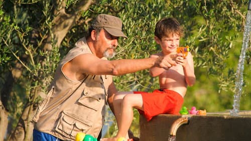 My Summer in Provence